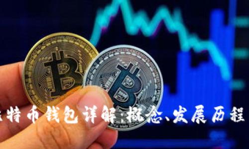 早期比特币钱包详解:概念、发展历程与影响