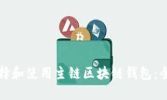 如何选择和使用主链区块链钱包：全面