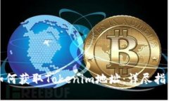 如何获取Tokenim地址：详尽指南