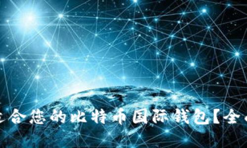 如何选择最适合您的比特币国际钱包?全面指南与建议