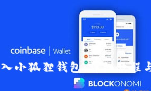 如何将USDT转入小狐狸钱包:详细教程与常见问题解答