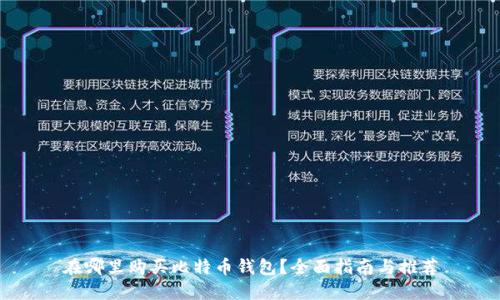 在哪里购买比特币钱包?全面指南与推荐