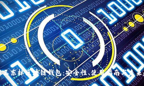 详解王东林区块链钱包:安全性、使用指南与未来趋势
