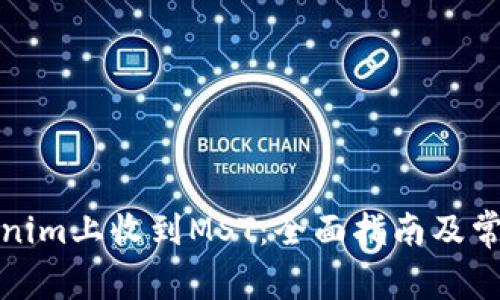 如何在Tokenim上收到MST:全面指南及常见问题解答