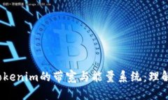 biato深入探讨Tokenim的带宽与能量系统：