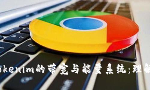 biato深入探讨Tokenim的带宽与能量系统:理解区块链资源分配