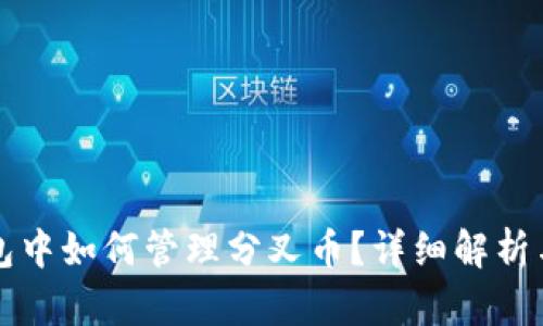 比特币钱包中如何管理分叉币?详细解析与使用指南
