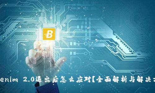 Tokenim 2.0退出后怎么应对?全面解析与解决方案