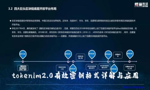 tokenim2.0有效密钥格式详解与应用