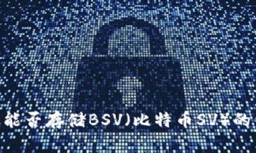 Tokenim能否存储BSV(比特币SV)的详细解析