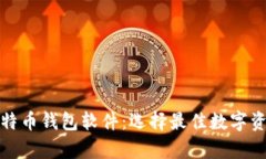 全面解析比特币钱包软件：选择最佳数