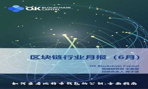 如何查看比特币钱包的公钥：全面指南