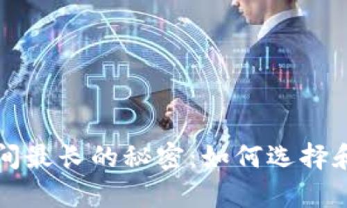 揭秘比特币钱包存活时间最长的秘密:如何选择和管理您的加密货币资产