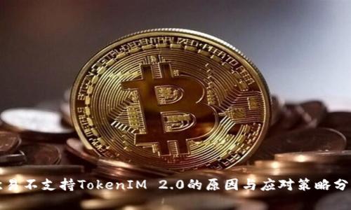 欧易不支持TokenIM 2.0的原因与应对策略分析
