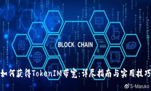 如何获得TokenIM带宽:详尽指南与实用技巧