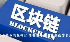 揭开最大的比特币钱包网站：选择安全