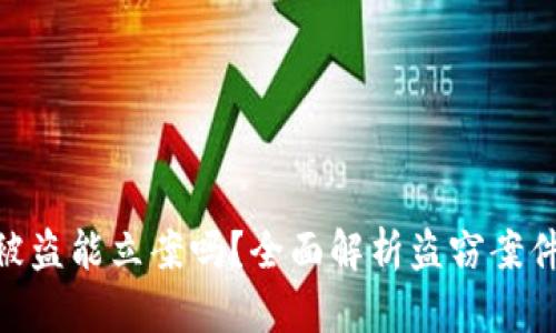 Tokenim 2.0被盗能立案吗?全面解析盗窃案件与区块链安全