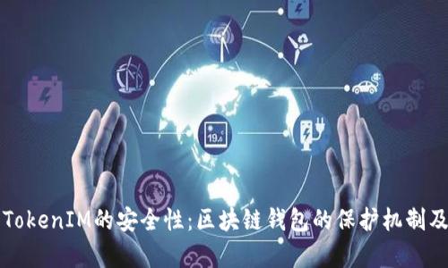 全面分析TokenIM的安全性:区块链钱包的保护机制及风险防范