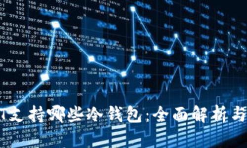 USDT支持哪些冷钱包:全面解析与推荐