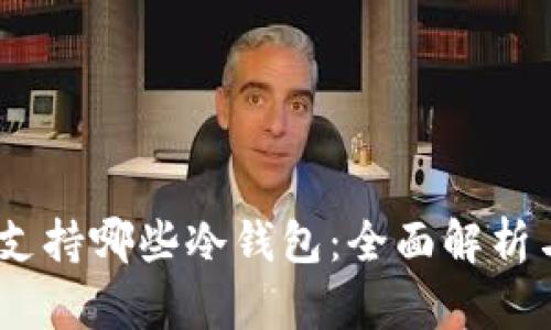 USDT支持哪些冷钱包:全面解析与推荐