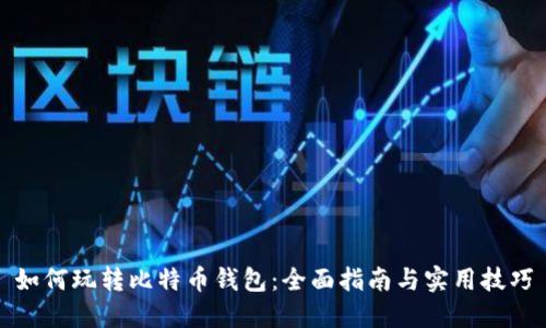 如何玩转比特币钱包:全面指南与实用技巧