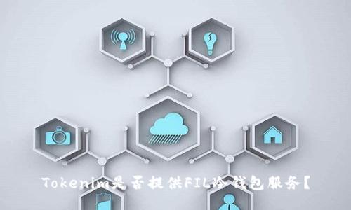 Tokenim是否提供FIL冷钱包服务？