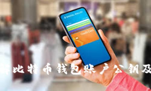 : 深入了解比特币钱包账户公钥及其安全性
