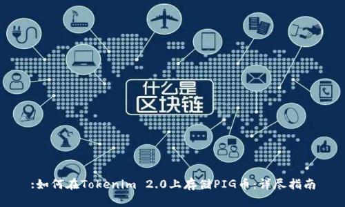 :如何在Tokenim 2.0上存储PIG币:详尽指南