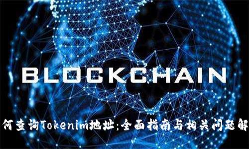 如何查询Tokenim地址:全面指南与相关问题解答