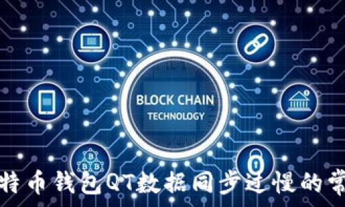 解决比特币钱包QT数据同步过慢的常见问题
