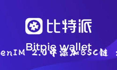 如何在TokenIM 2.0中添加BSC链 : 完整指南