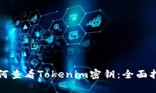 如何查看Tokenim密钥:全面指南