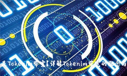 什么是Tokenim带宽?详解Tokenim带宽的概念与应用