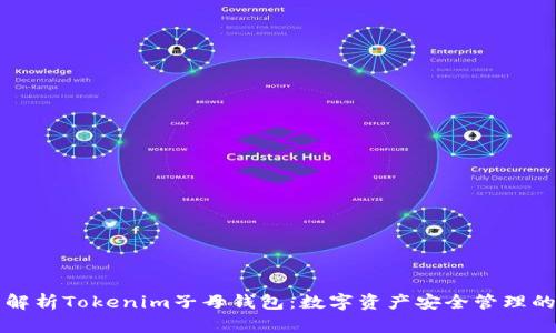全面解析Tokenim子母钱包:数字资产安全管理的利器