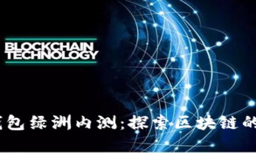 bianoti百度钱包绿洲内测:探索区块链的未来发展趋势