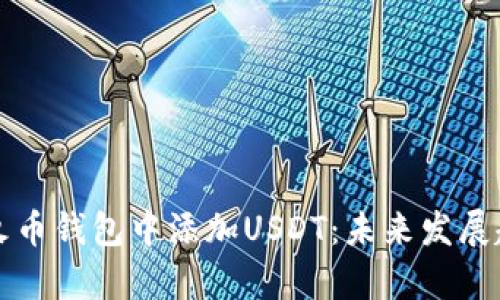 如何在火币钱包中添加USDT：未来发展趋势解析
