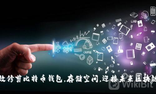 如何有效修剪比特币钱包,存储空间,迎接未来区块链的挑战