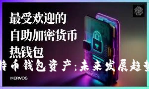 如何查看比特币钱包资产：未来发展趋势与实用指南