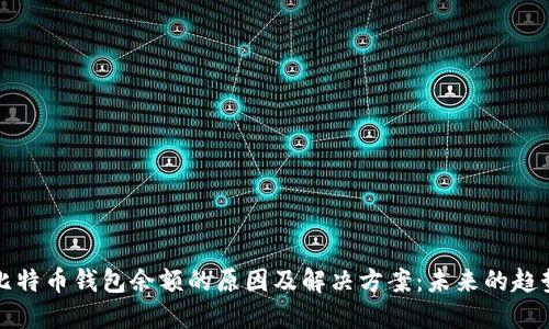 看不到比特币钱包余额的原因及解决方案：未来的趋势与发展