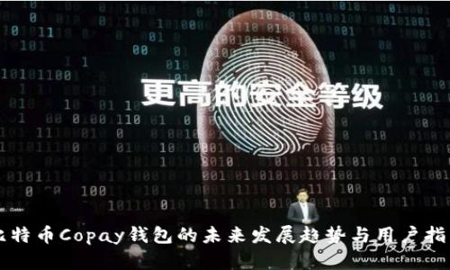 比特币Copay钱包的未来发展趋势与用户指南
