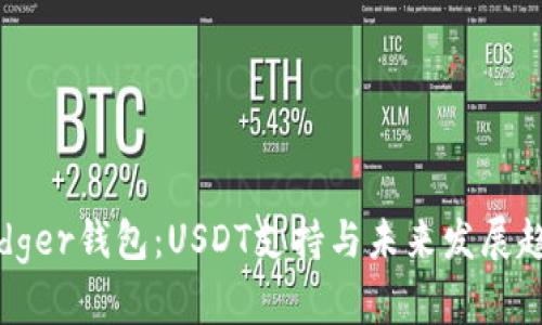 Ledger钱包:USDT支持与未来发展趋势