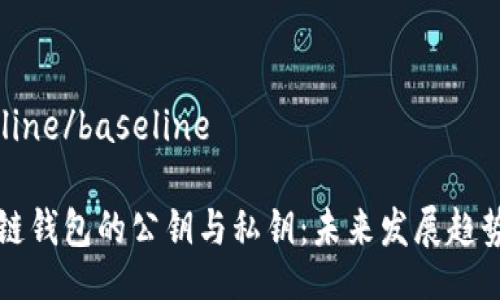 baseline/baseline

区块链钱包的公钥与私钥：未来发展趋势解析