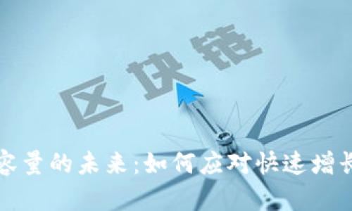 比特币钱包容量的未来:如何应对快速增长的交易需求