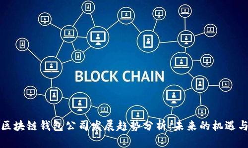 北美区块链钱包公司发展趋势分析:未来的机遇与挑战