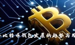 2024年比特币钱包发展的趋势与用户指
