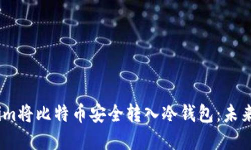 如何通过token.im将比特币安全转入冷钱包：未来趋势与最佳实践