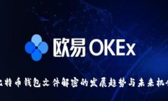 比特币钱包文件解密的发展趋势与未来机会