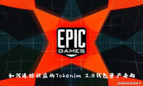 如何追踪被盗的Tokenim 2.0钱包资产去向