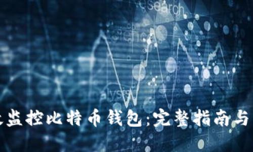 如何高效监控比特币钱包：完整指南与实战技巧