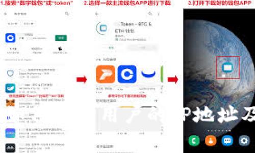 TokenIM 2.0：如何查询用户的IP地址及相关技术解析